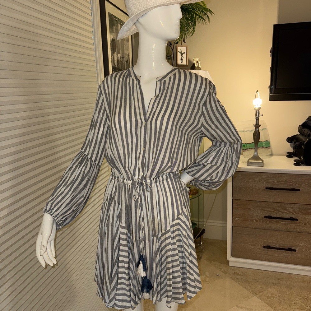 Striped Gray and White Women's Dress